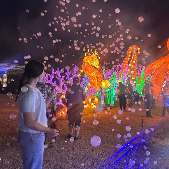 Meet your Posher, Polly - Picture 1 of 1